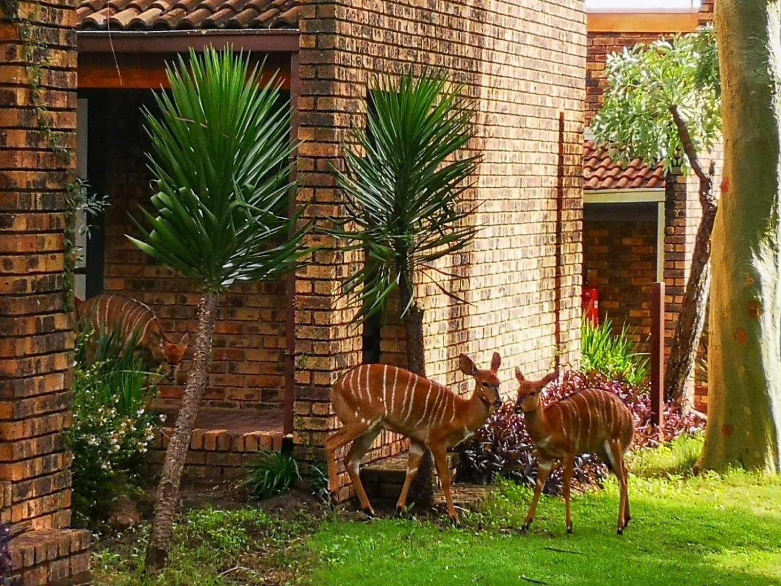 The Venue Country Hotel & Spa Pelindaba Exterior photo